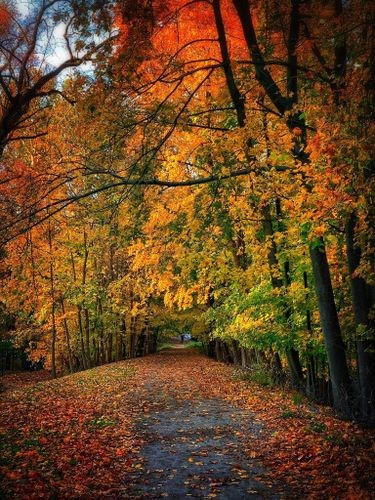 Aqueduct Trail