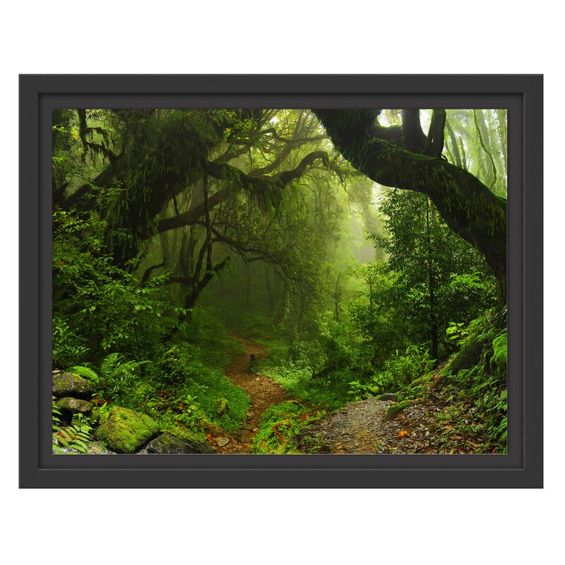 MysticalRainforest