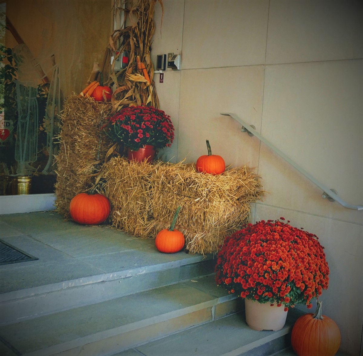 Fall Front Steps 2